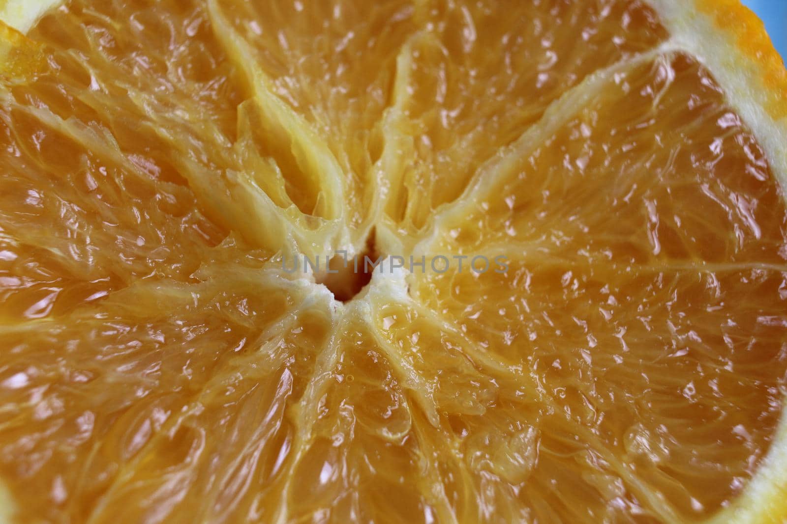 cut of the orange close-up. Macro photo of eating orange fruit. Orange fruit background.