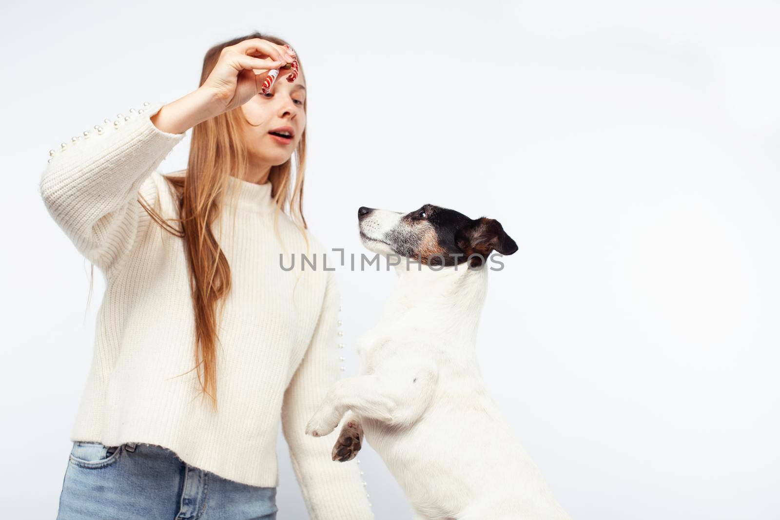 pretty young blond girl with her little cute dog wearing Santas red hat at Christmas holiday isolated on white background, lifestyle people concept close up