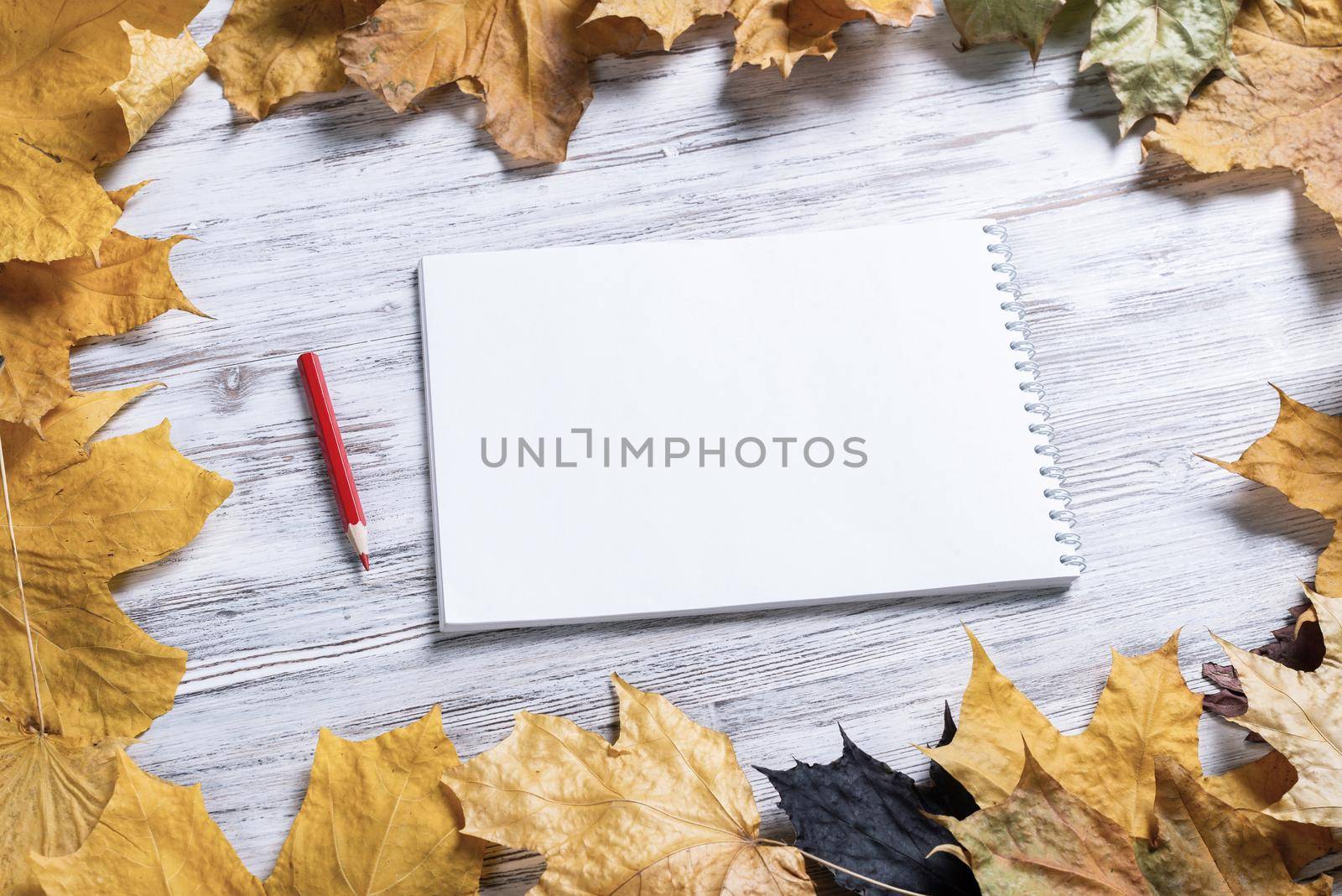 Spiral sketchbook and pen lies on vintage wooden desk with bright foliage. Flat lay with autumn leaves on white wooden surface. Blank notepad for drawing with copy space. Creative space and artwork.