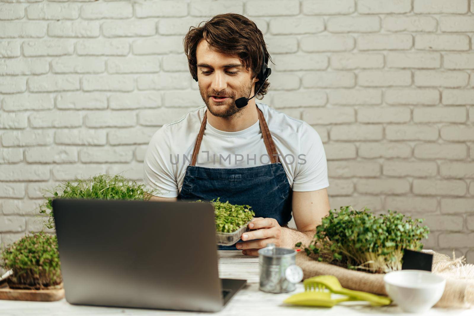 Handsome bearded man sells plant sprouts and seedlings online using laptop by video call