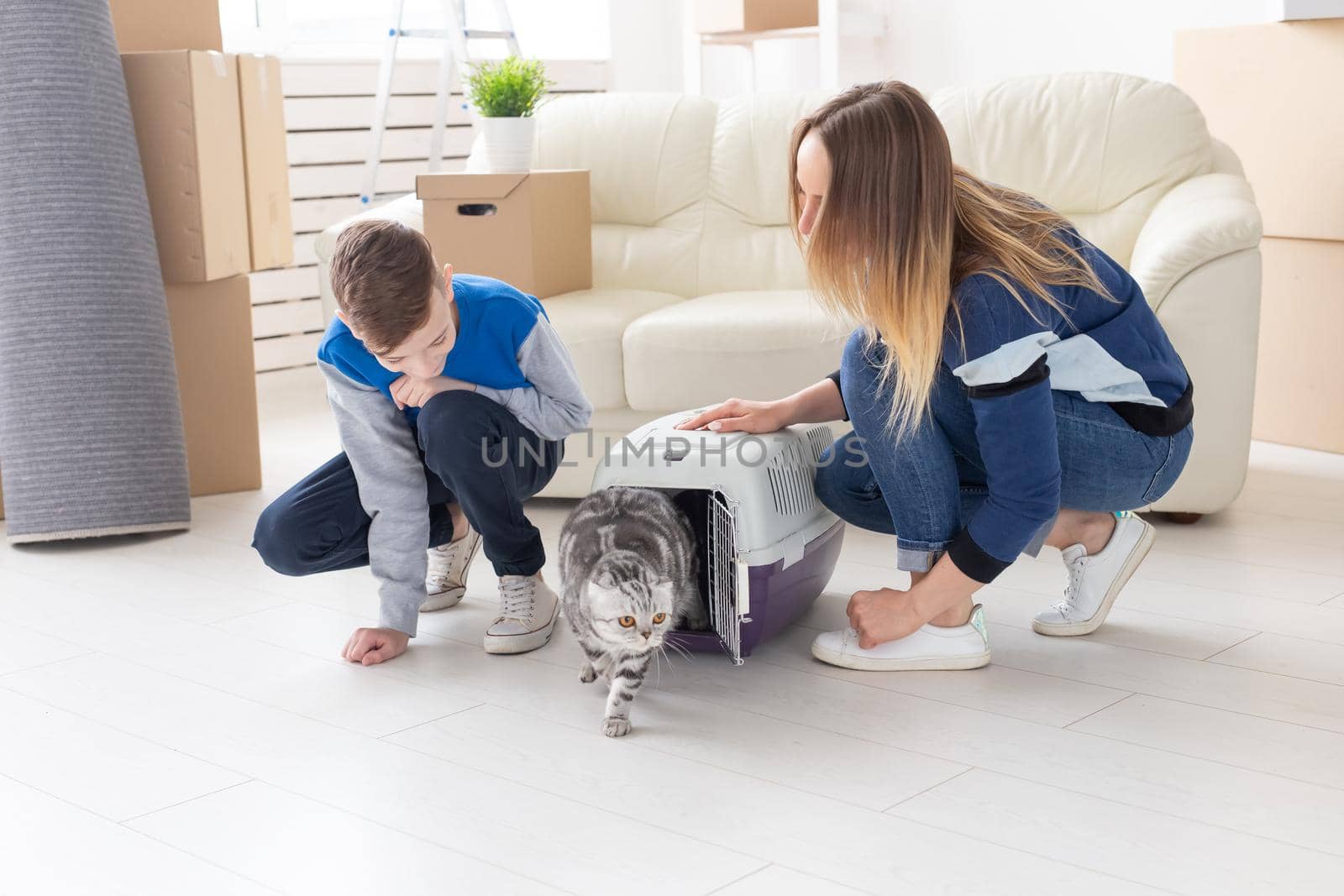 Slim young mother and little son launch their beautiful gray Scottish Fold cat into their new apartment in the living room. The concept of tradition with housewarming. by Satura86