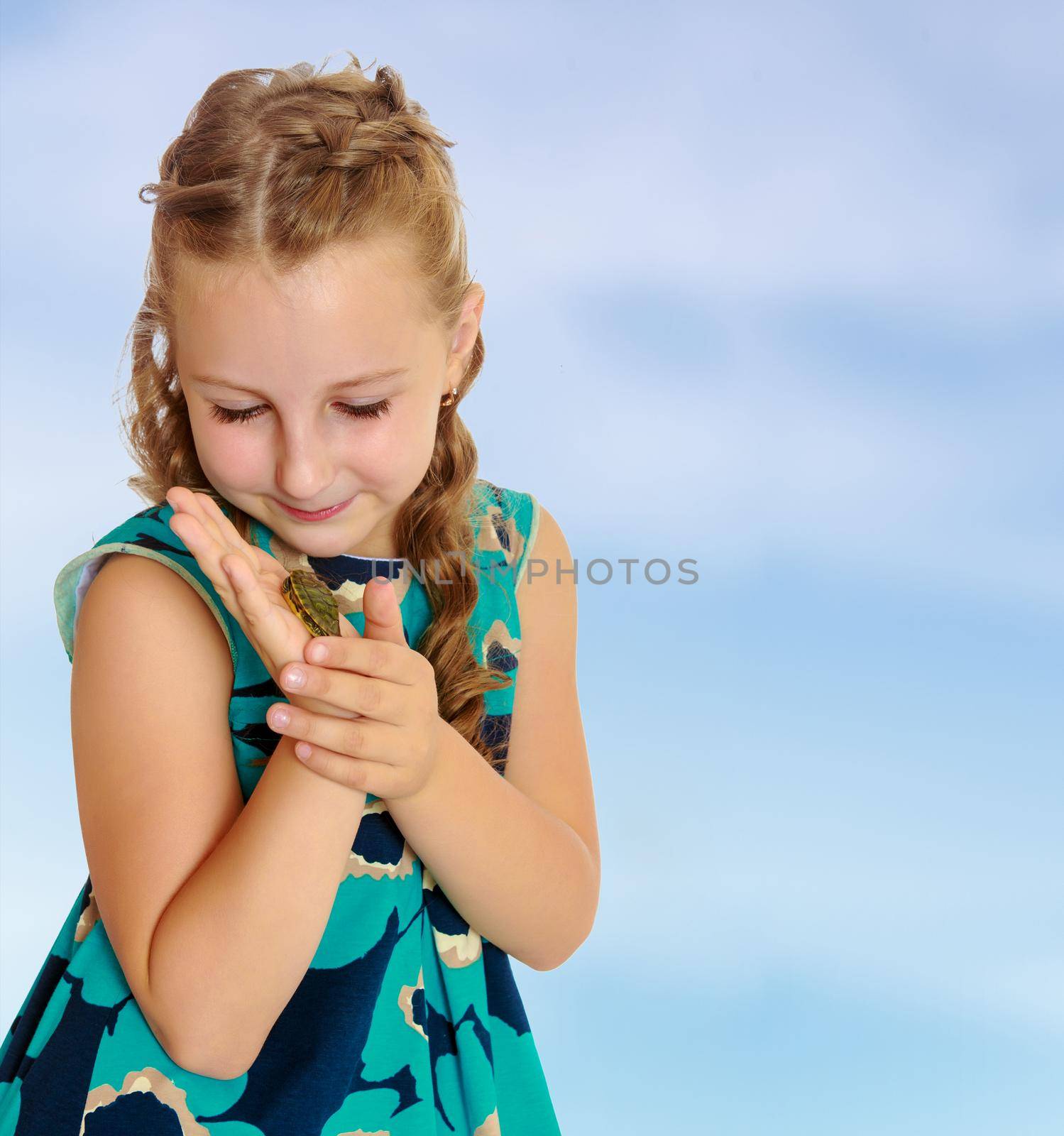 Attentive little girl looking at in the palms of a small turtle. Closeup.On the pale blue background.