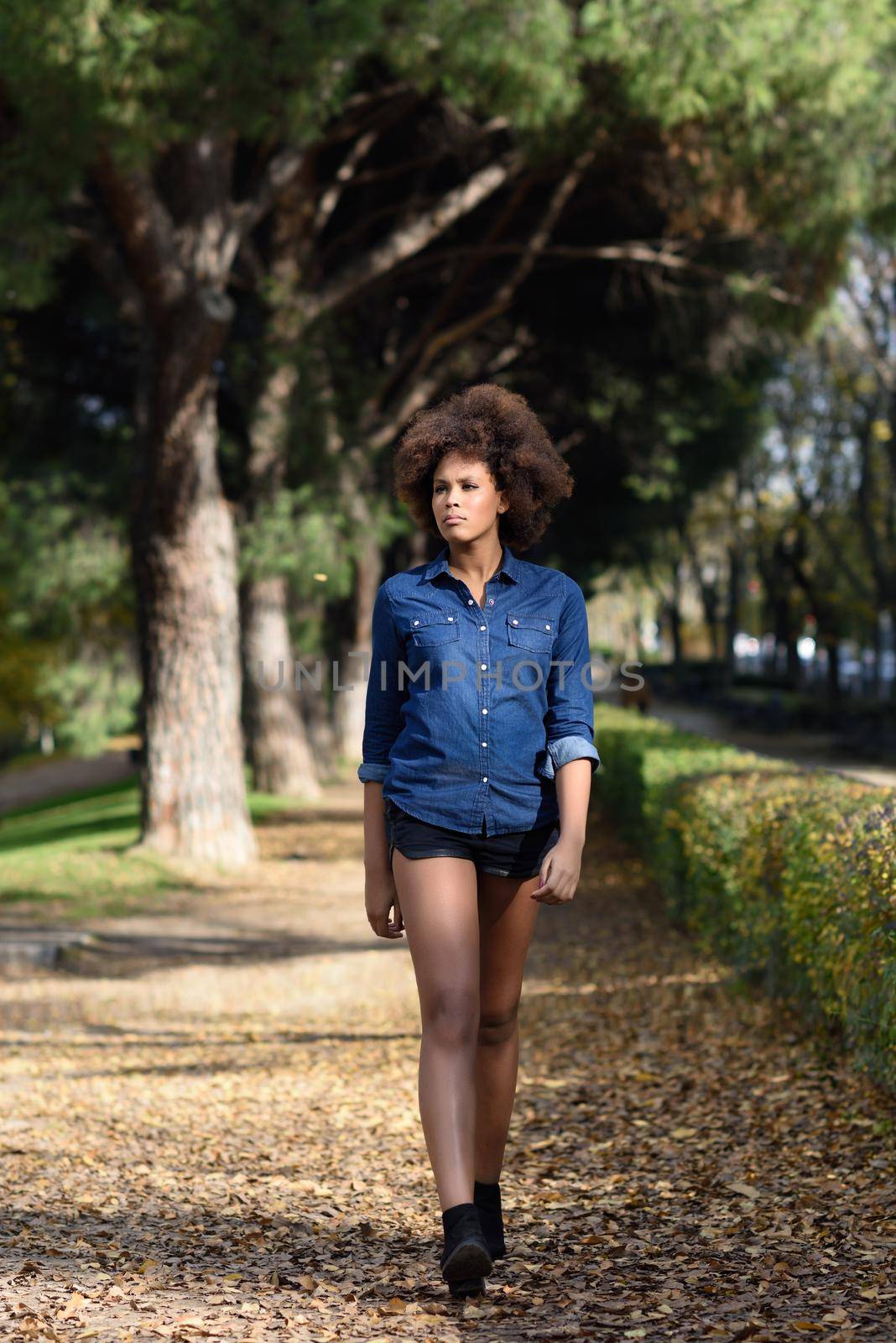 Young black woman with afro hairstyle walking in urban park. Mixed woman wearing blue shirt and shorts.