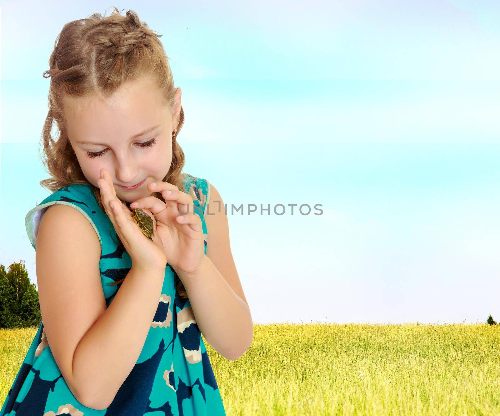 Attentive little girl looking at in the palms of a small turtle. Closeup.On the background of green grass and blue sky with clouds.