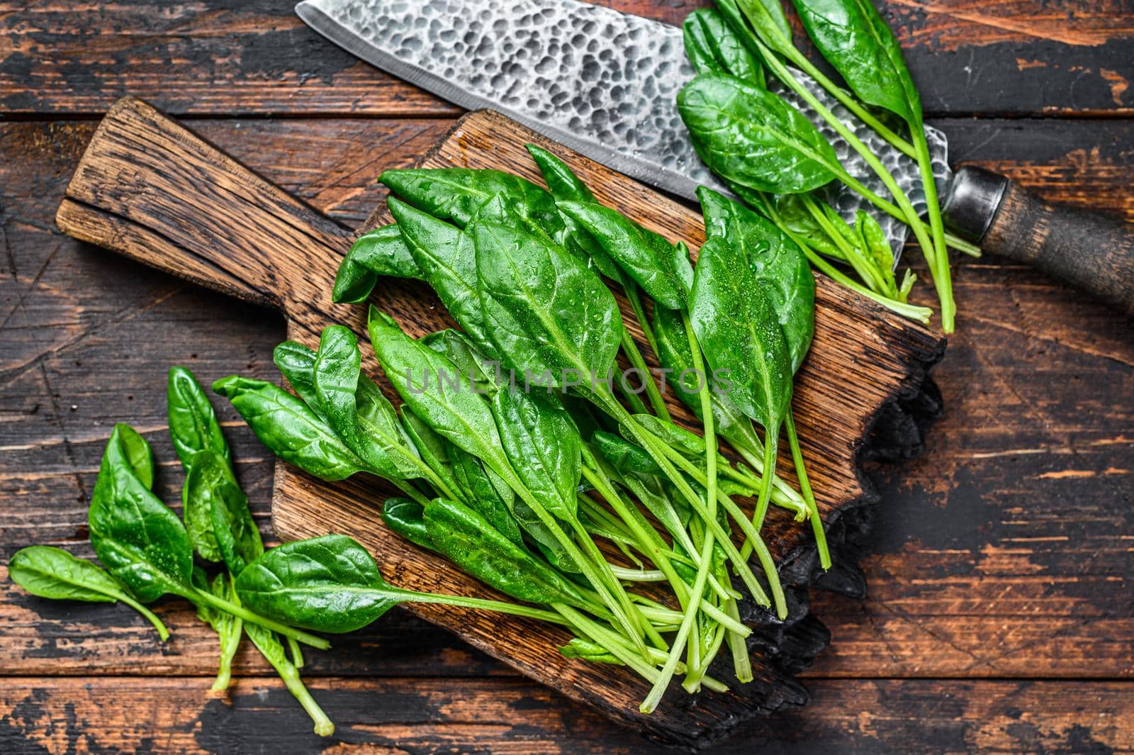 Young baby spinach leaves on a wooden cutting board. Dark wooden background. Top view by Composter