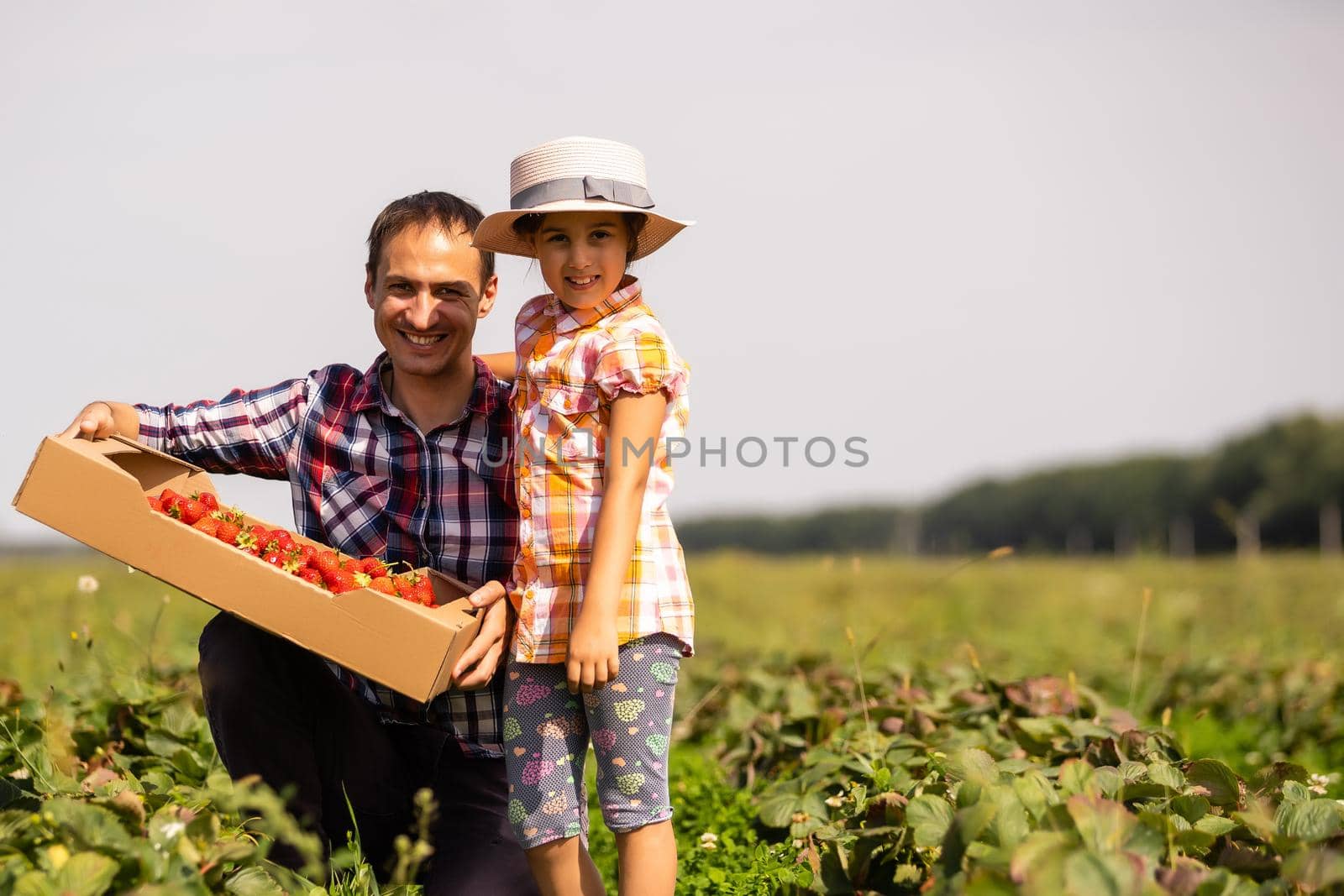 Father and child holding wild picked strawberries in summer