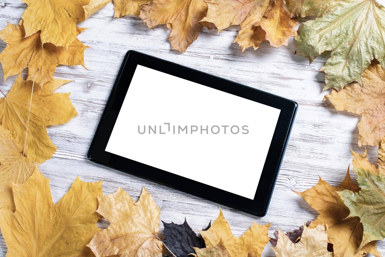 Tablet computer with blank screen lies on vintage wooden desk with bright foliage. Flat lay composition with autumn leaves on white wooden surface. Internet communication and digital technology