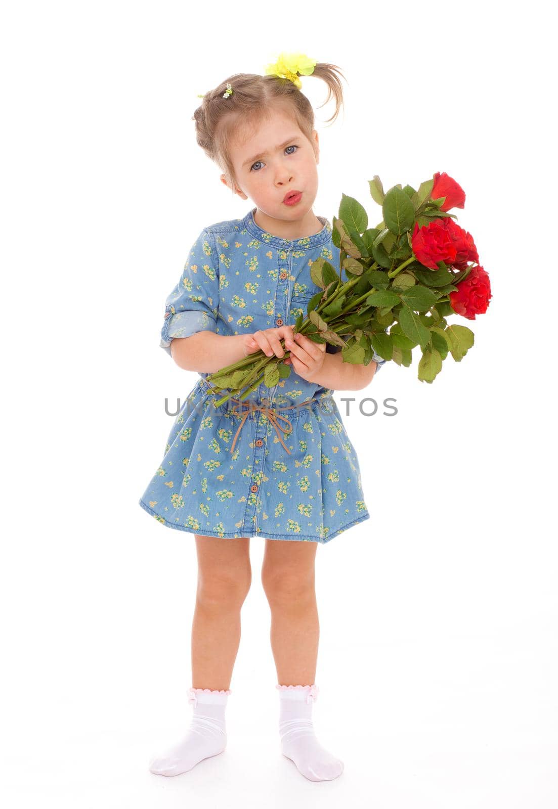 charming little girl holding a bouquet of red roses.Isolated on white.