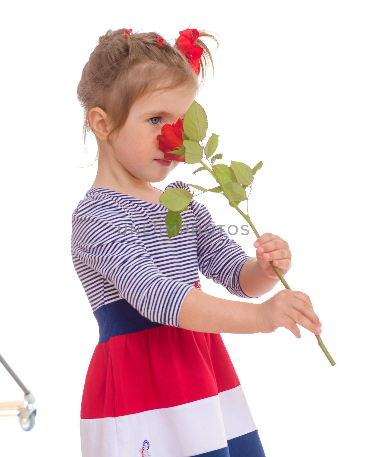 Fashionable little girl with a rose.Isolated on white.