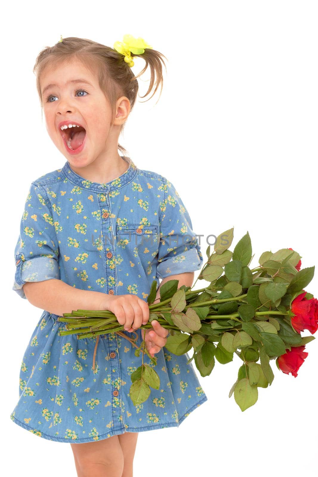 charming little girl holding a bouquet of red roses. by kolesnikov_studio