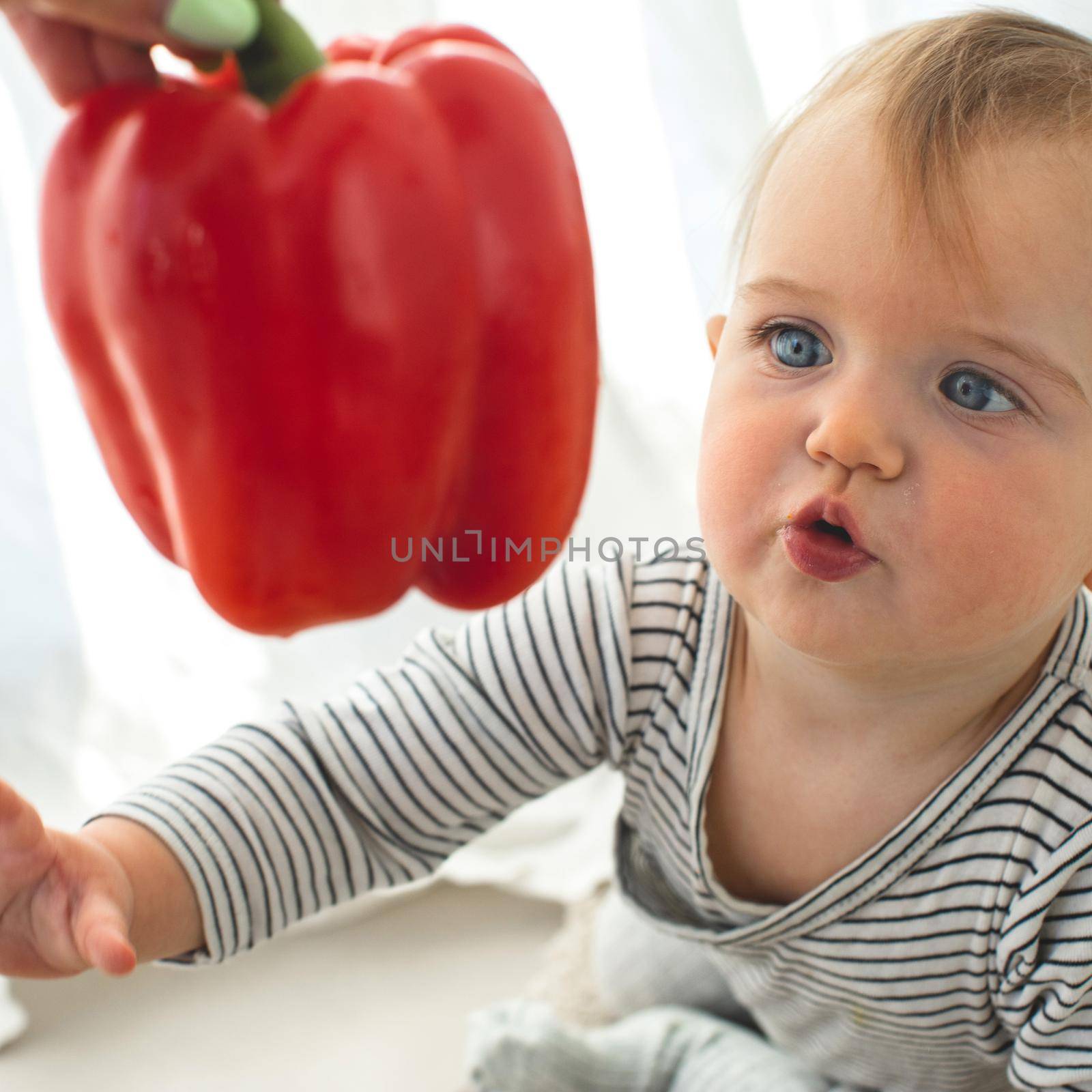 Cute baby girl are sitting with pepper white background interior. Funny child explores vegetable