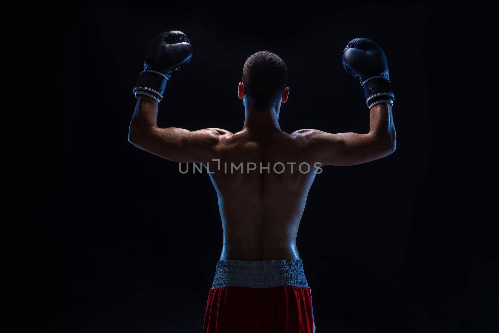 Back view of man boxer with raised hands in victory gesture. Concept of hard sport, glory and success. Studio shot on a black background