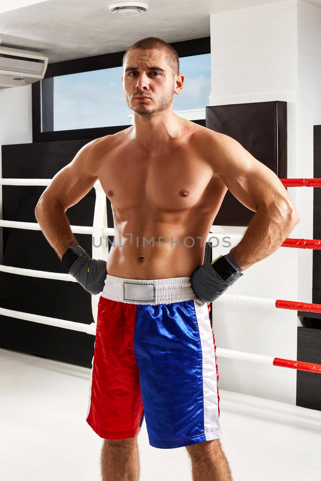 Boxer in grey gloves warming up in the gym. naked torso. He looks into the camera