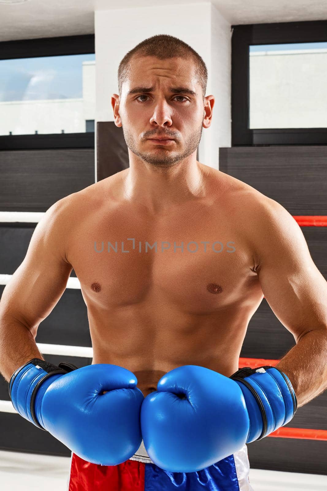 Boxer in blue gloves in the gym. He looks into the camera.