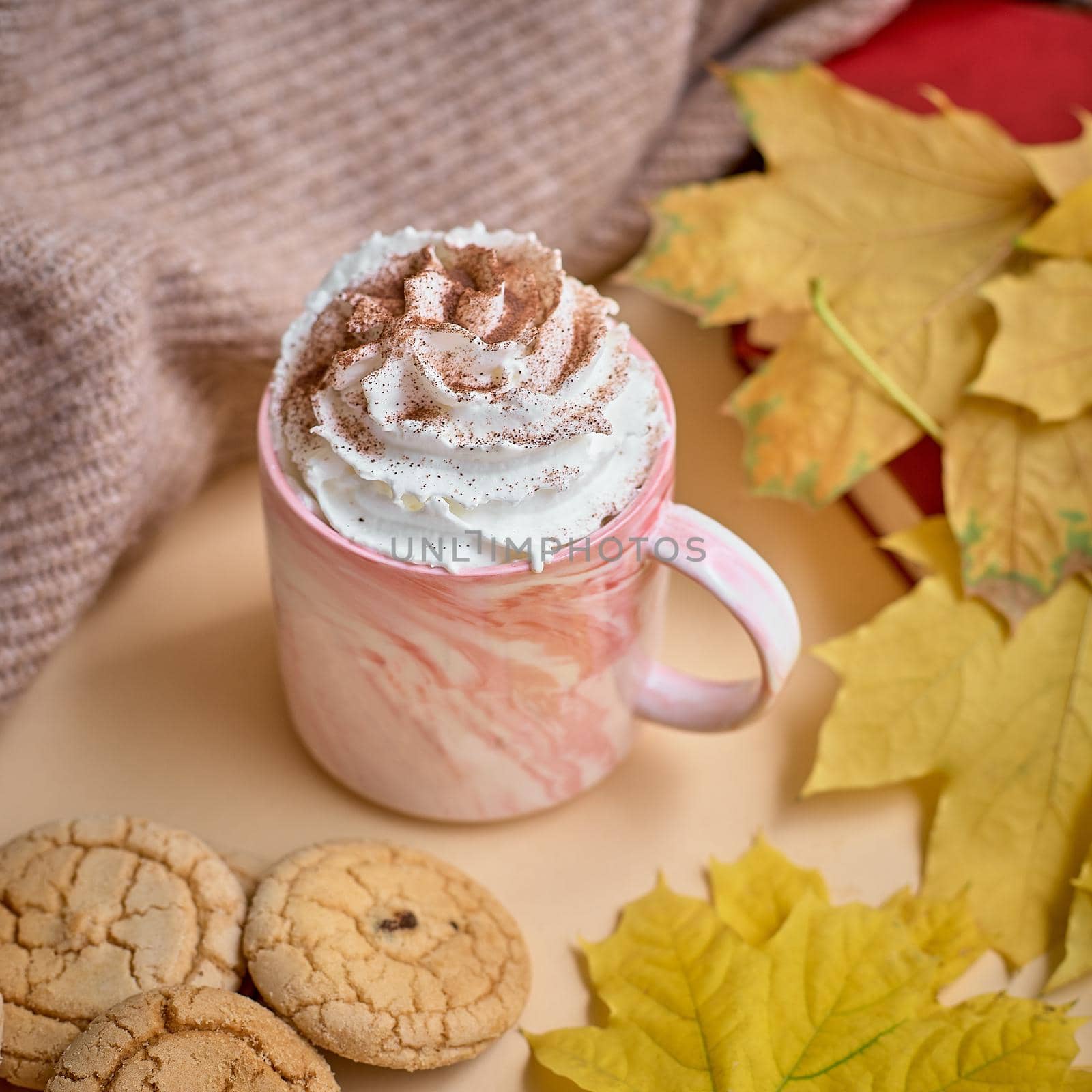 cup of hot chocolate with cream on autumn fall leaves with latte art, top view. by izik