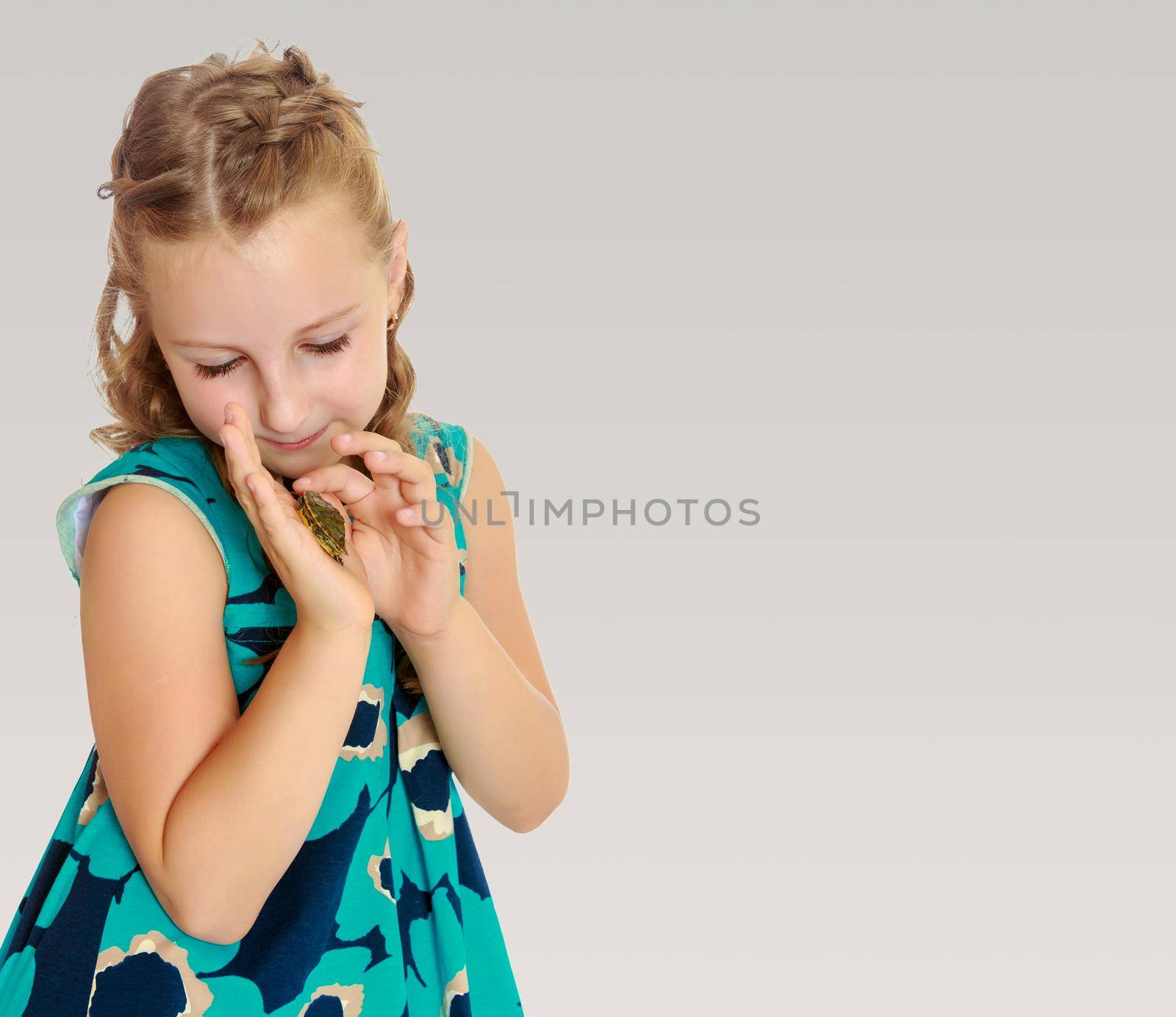 Attentive little girl looking at in the palms of a small turtle. Closeup.On a gray background.