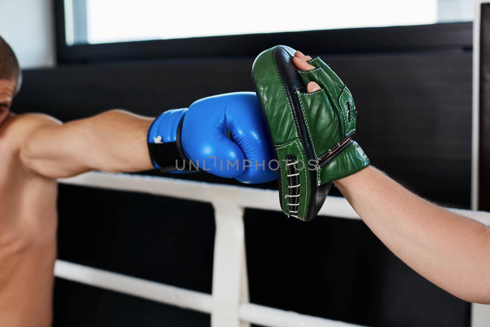 boxer's hand in a blue glove hits the training glove
