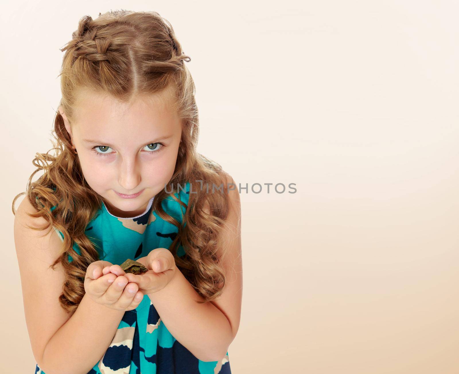 Beautiful little girl holding hands the little turtle. Close-up.On a brown gradient background.