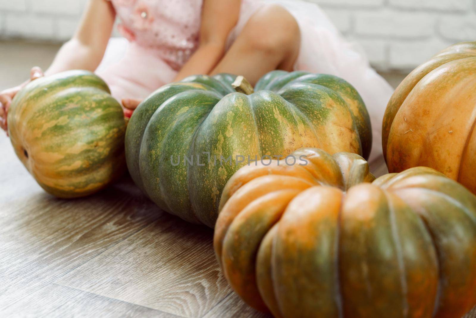 Unrecognizable little girl in pink dress holding pumpkin in hands by Fabrikasimf