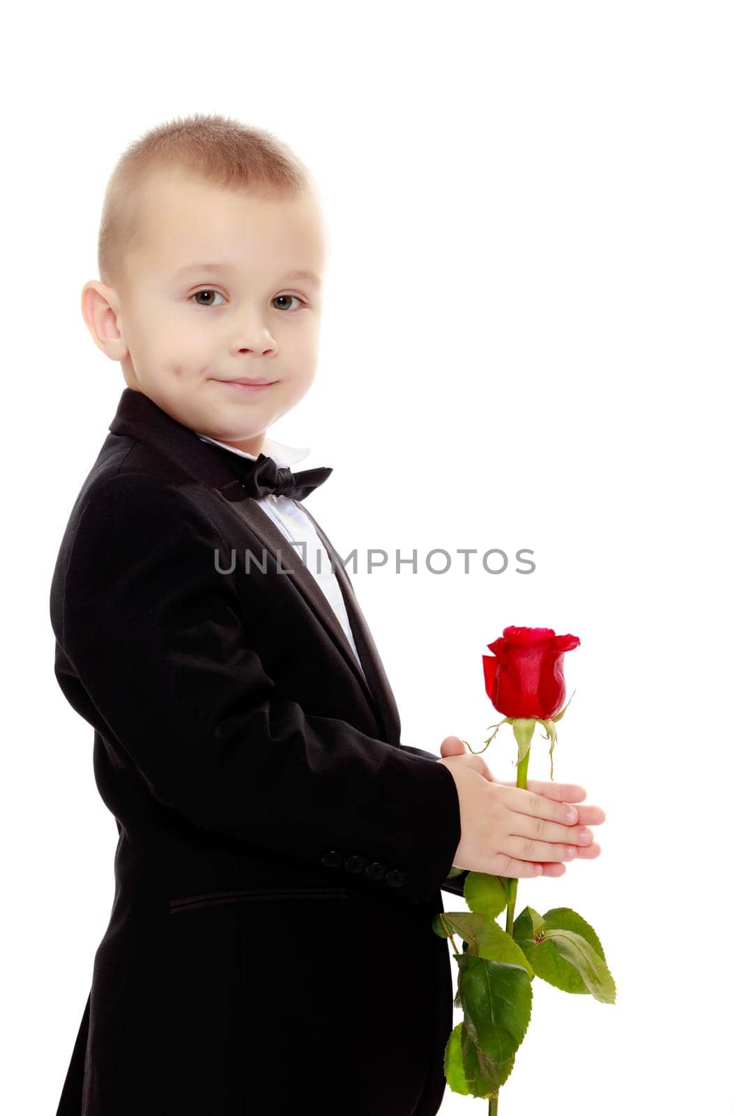 Beautiful little boy in a strict black suit , white shirt and tie.Boy holding a flower of a red rose on a long stem.Isolated on white background.