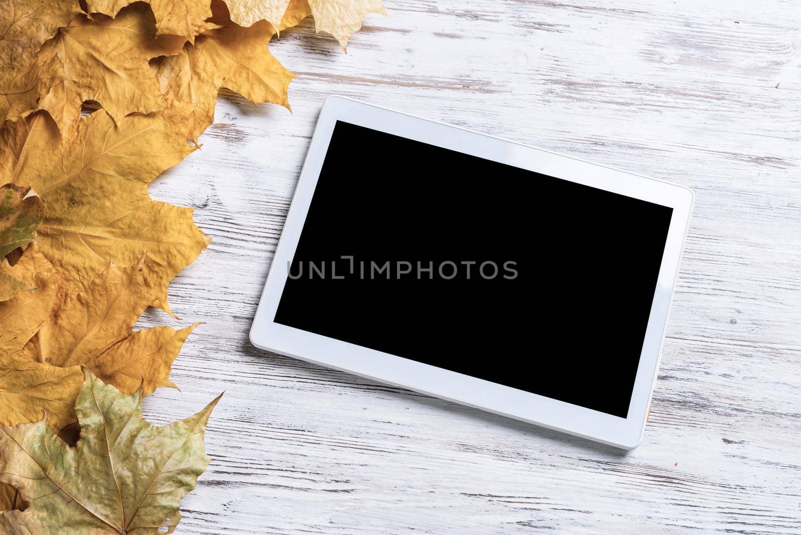 Tablet computer with blank screen lies on vintage wooden desk with bright foliage. Flat lay composition with autumn leaves on white wooden surface. Internet communication and digital technology