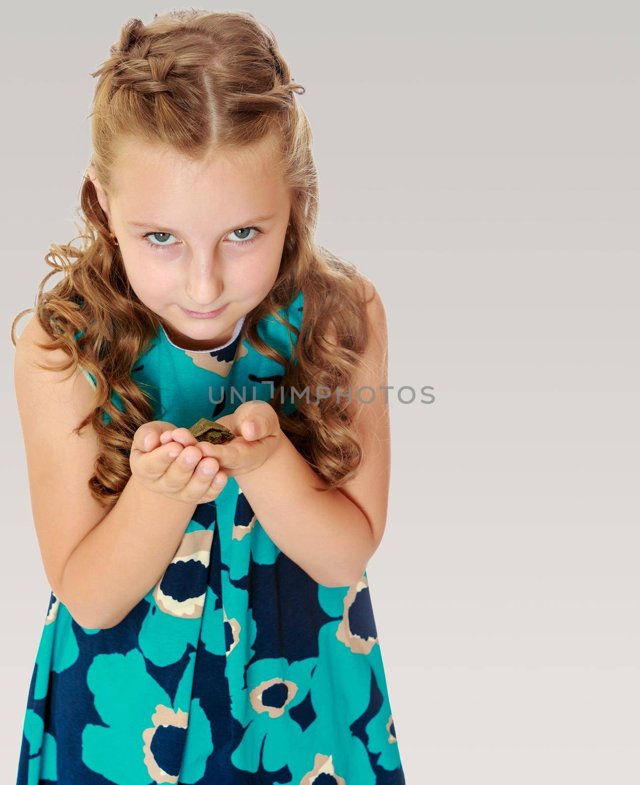 Beautiful little girl holding hands the little turtle. Close-up.On a gray background.