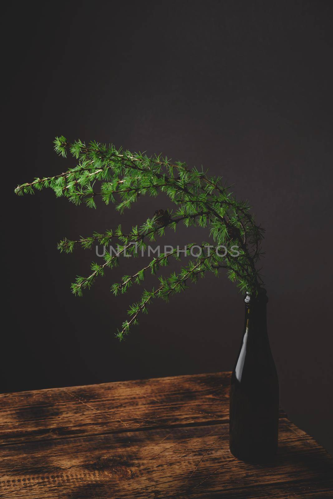 Still life of larch branch in glass bottle on rustic wooden table