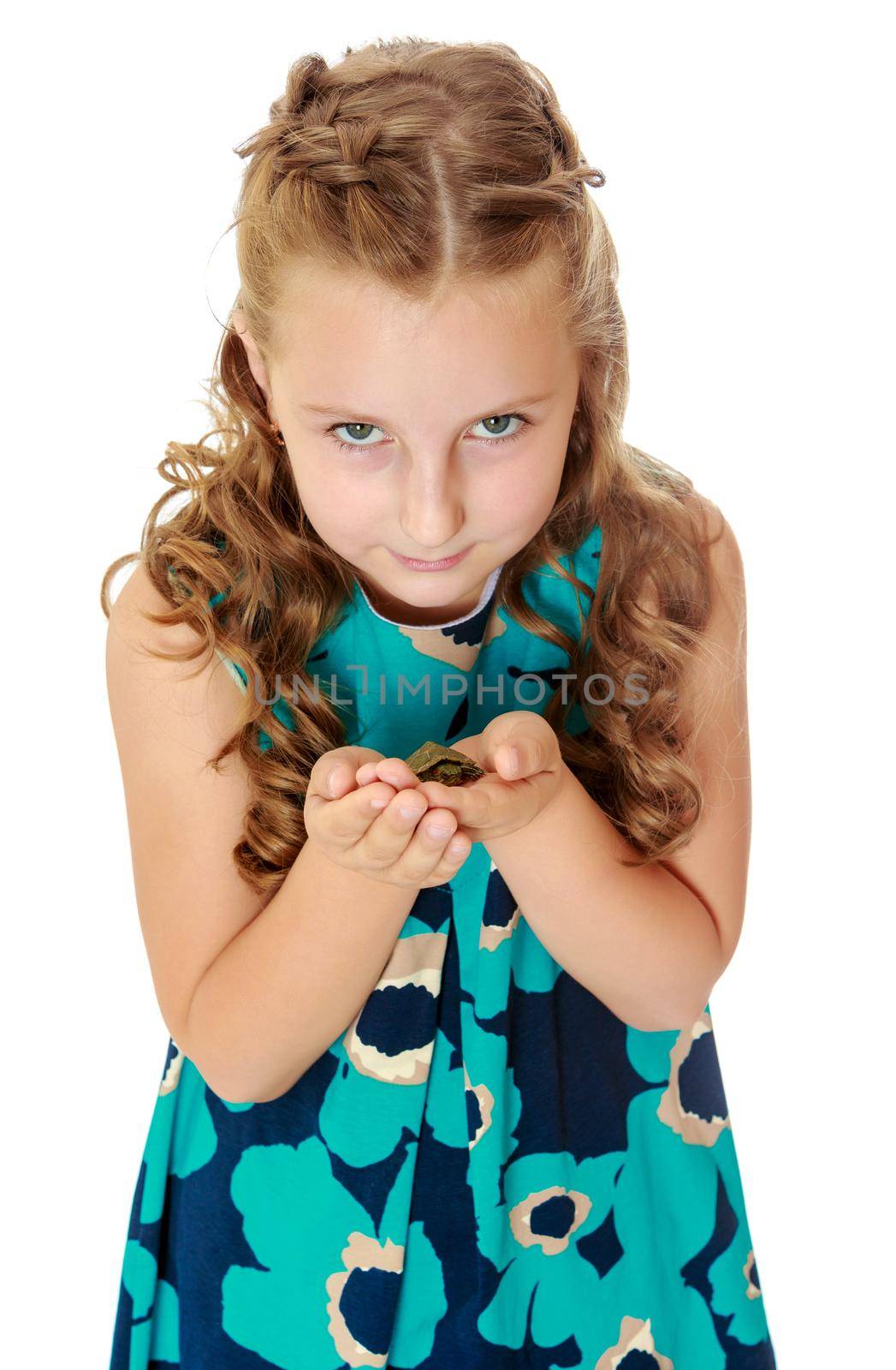 Beautiful little girl holding hands the little turtle. Close-up.Isolated on white background.