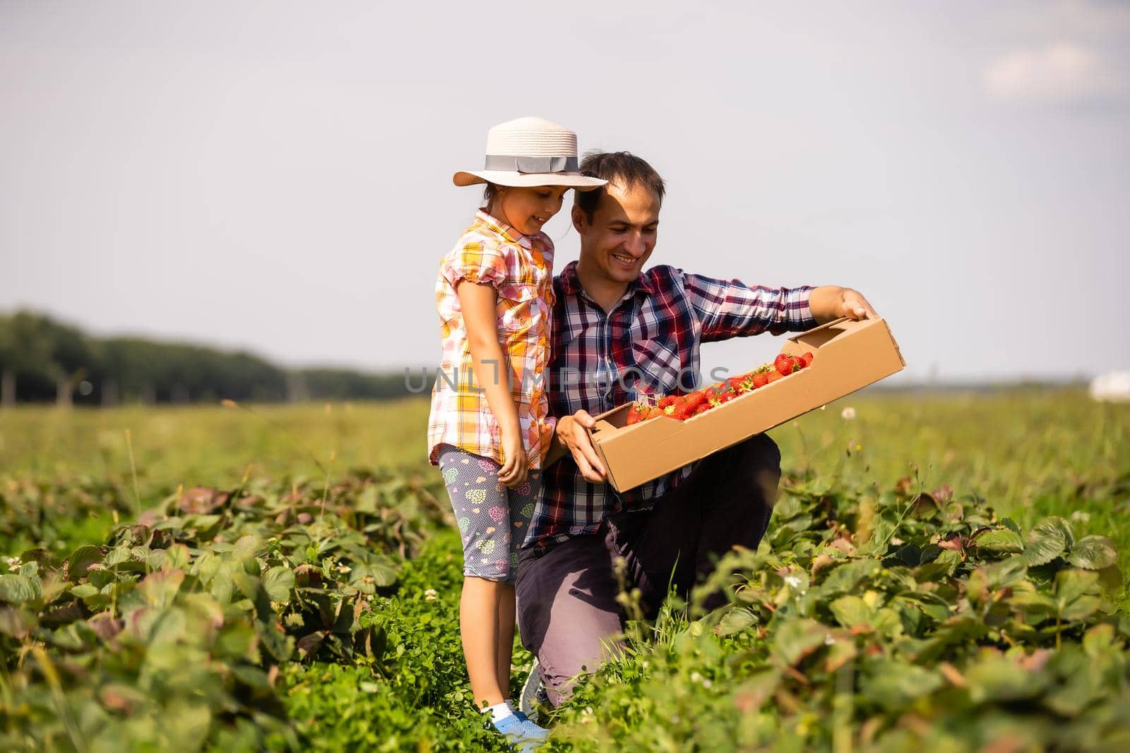 Father and child holding wild picked strawberries in summer
