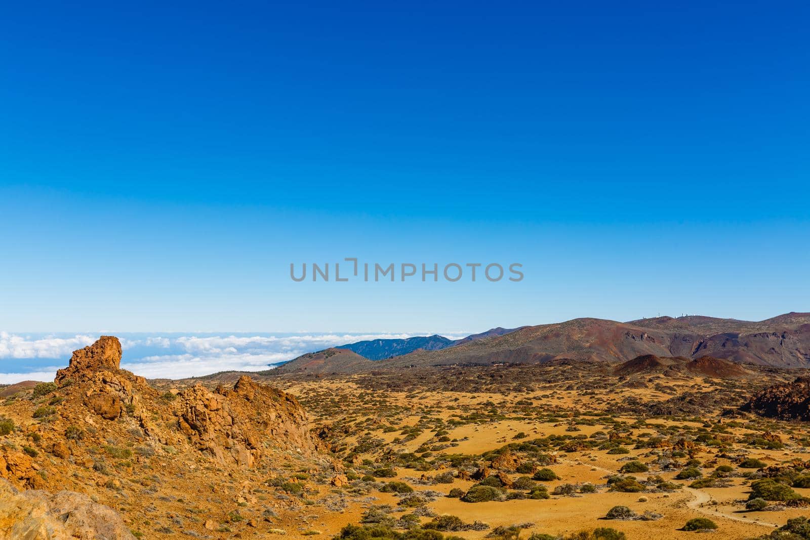 Teide National Park, Tenerife, Canary Islands, Spain