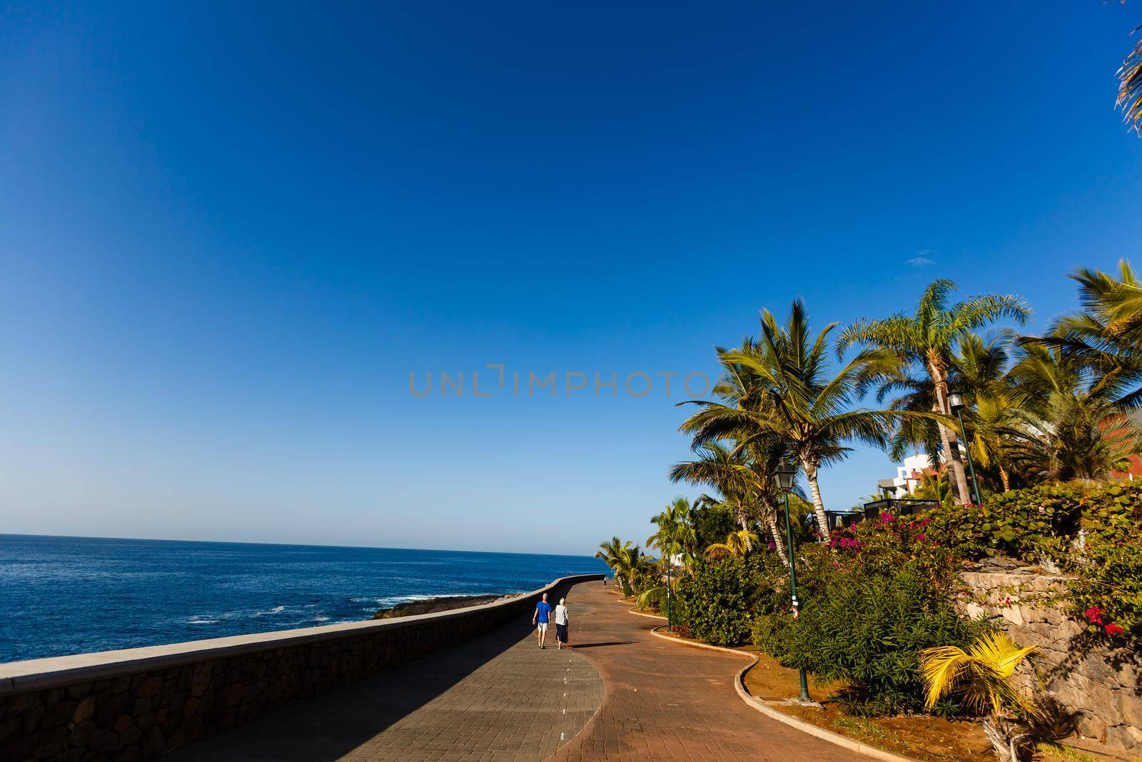 Palm trees on coastal promenade, Canary Islands, Spain.