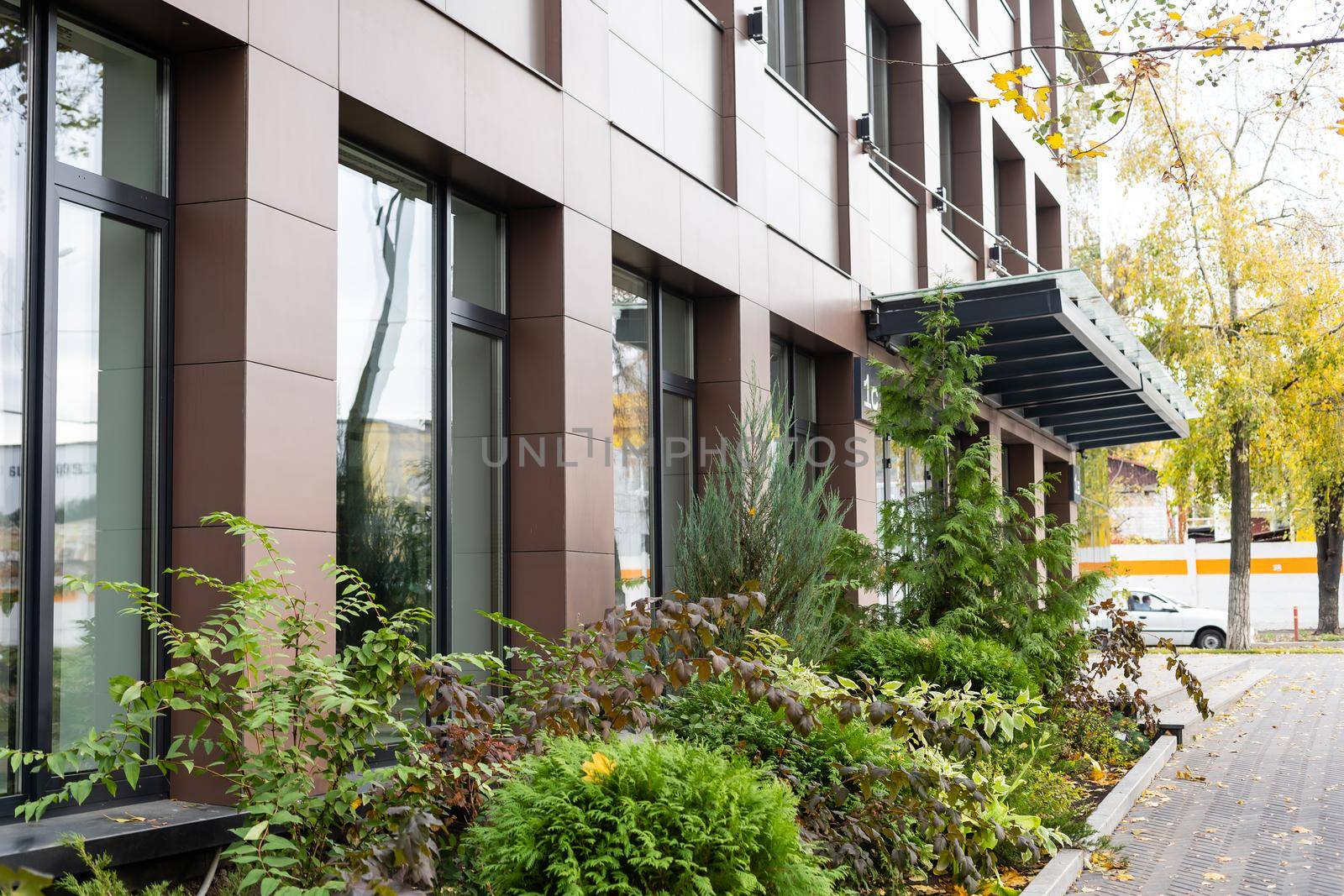 green landscaping near the facade of a business building.