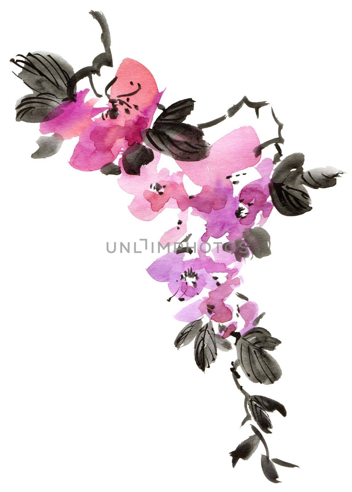 Watercolor and ink illustration of blossom twig with purple flowers, buds and leaves. Oriental traditional painting in style sumi-e, u-sin and gohua.