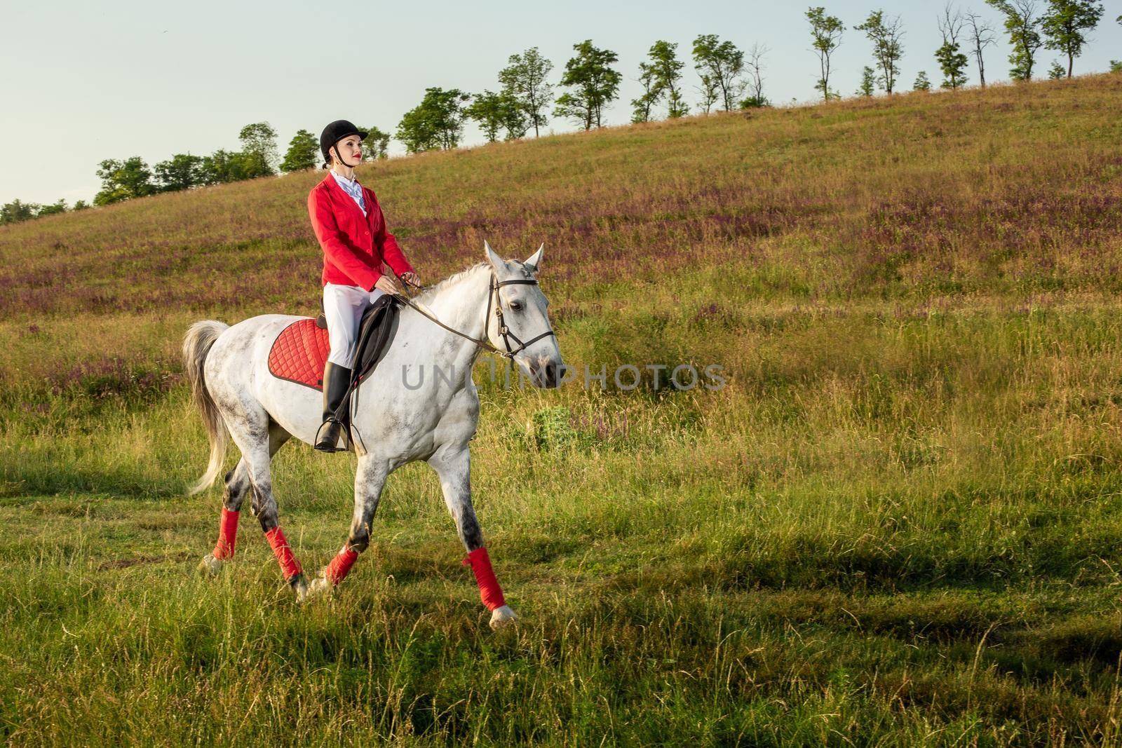 The sportswoman on a horse. The horsewoman on a red horse. Equestrianism. Horse riding. racing. Rider on a horse.