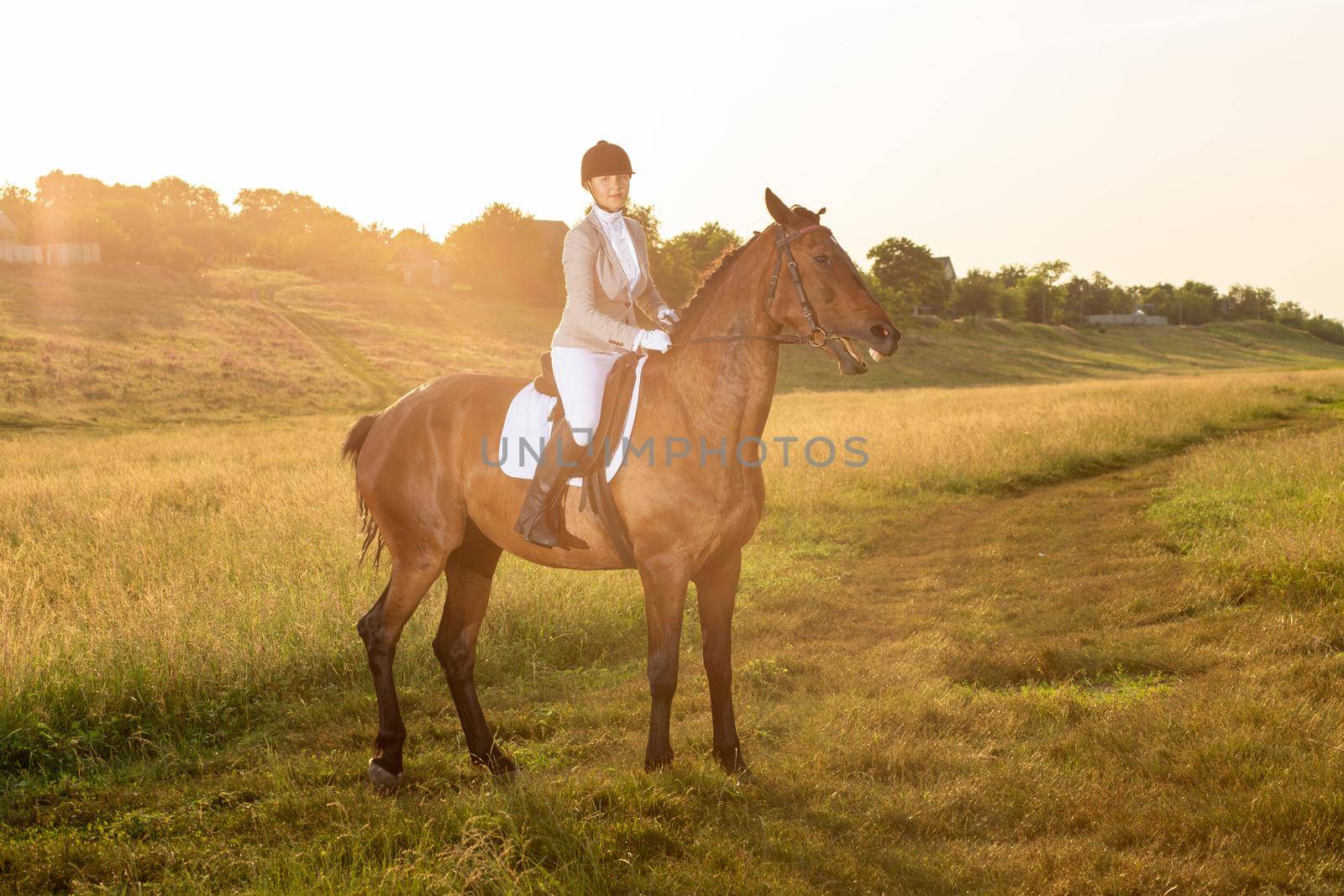 Equestrian sport. Young woman riding horse on dressage advanced test. Horse walk in summer. Sun flare