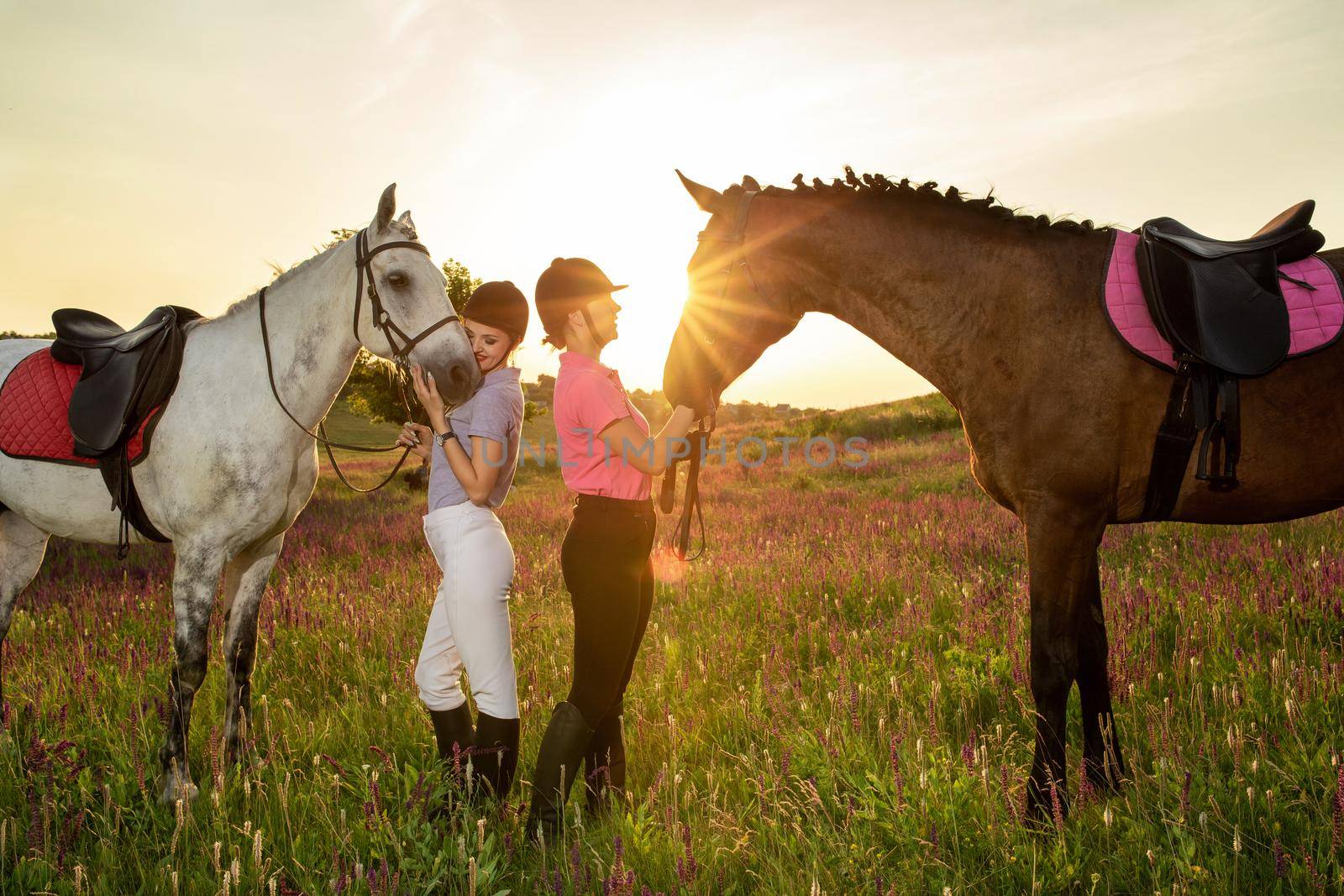 Two woman and two horses outdoor in summer happy sunset together nature. Taking care of animals, love and friendship concept.