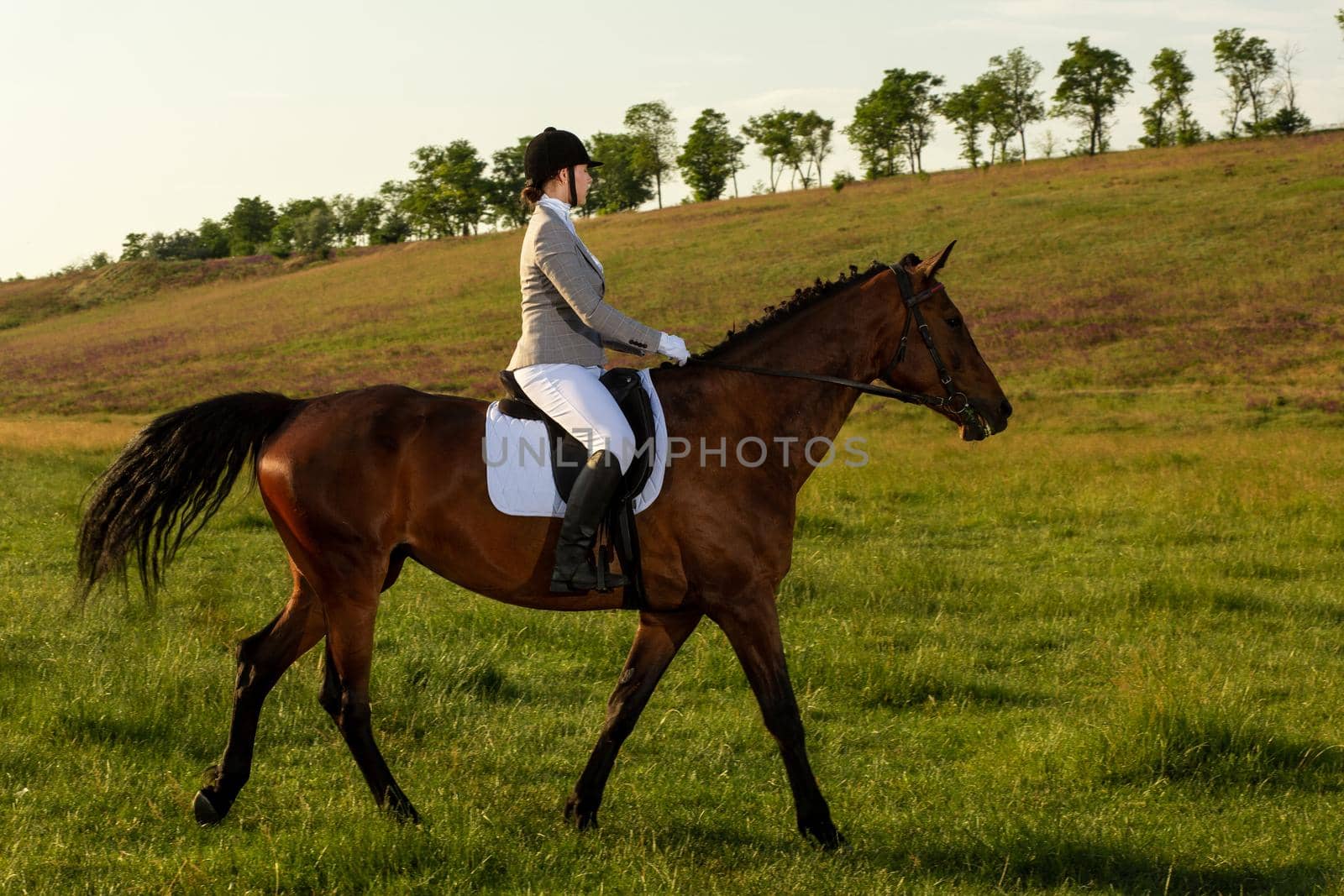 Young woman riding a horse on the green field. Horseback Riding. Competition. Hobby