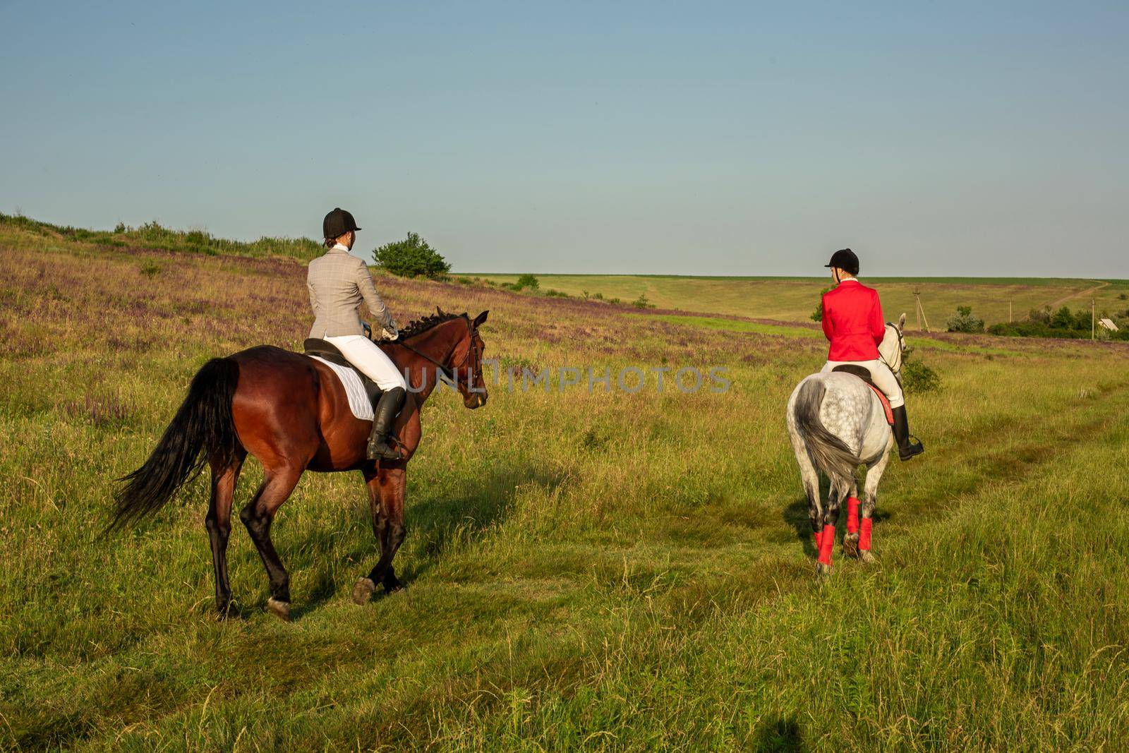 Two young women riding horse in park. Horse walk in summer. Outdoor photography in lifestyle mood