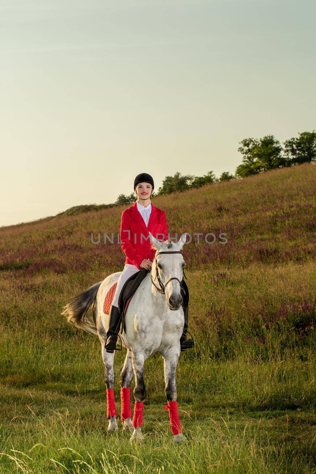 The sportswoman on a horse. The horsewoman on a red horse. Equestrianism. Horse riding racing. Rider on a horse.