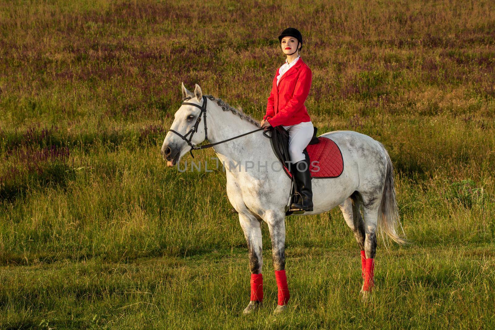 The sportswoman on a horse. The horsewoman on a red horse. Equestrianism. Horse riding racing. Rider on a horse.