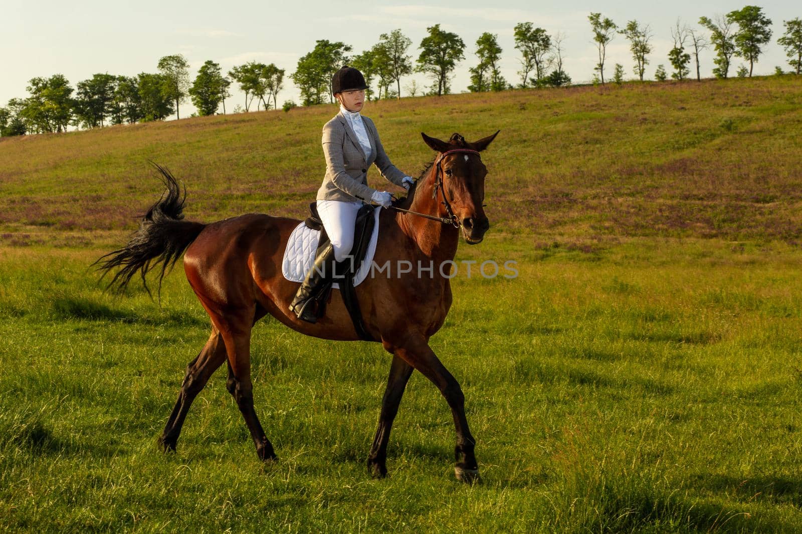 Young woman riding a horse on the green field. Horseback Riding. Competition. Hobby