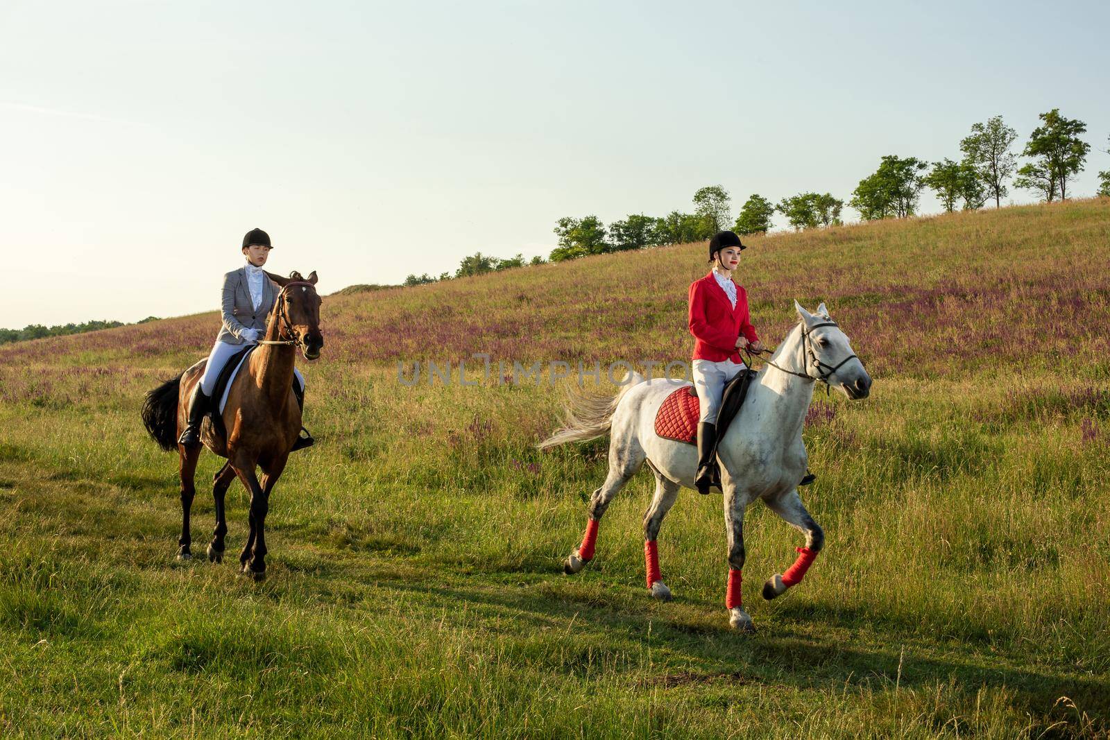Horseback riders. Two attractive women ride horses on a green meadow. Horse riding. Horse racing. Rider on a horse.