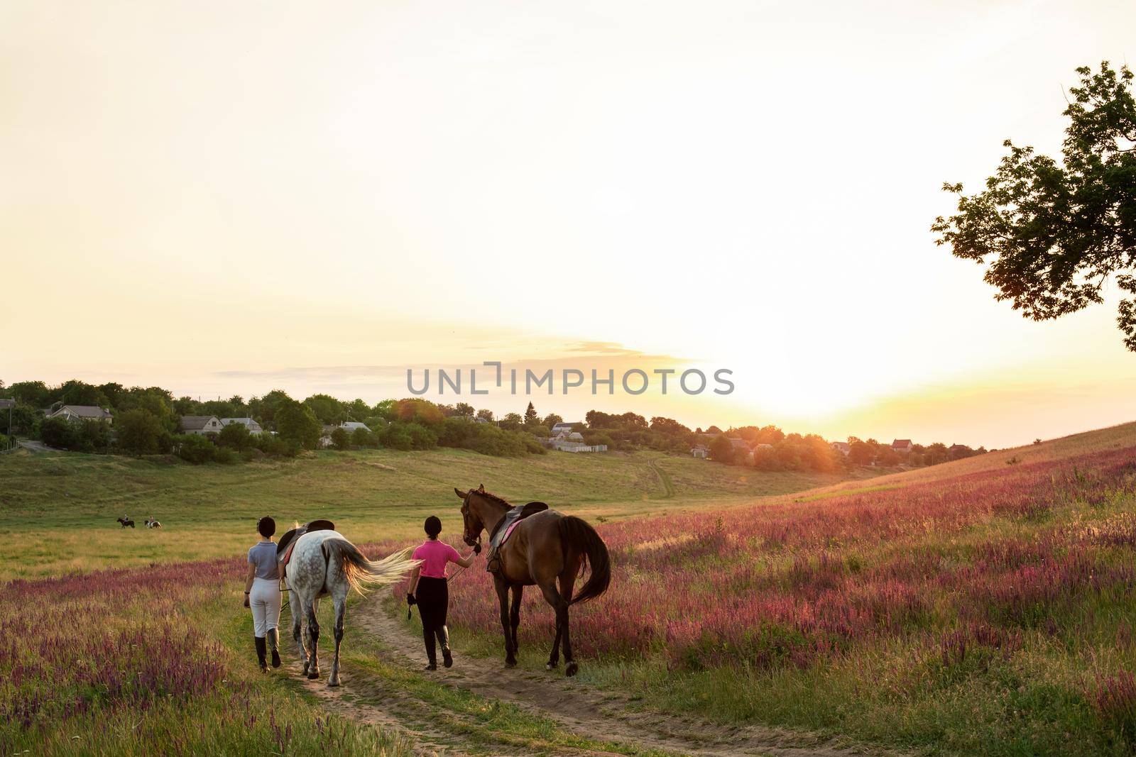 Two woman and two horses outdoor in summer happy sunset together nature. Taking care of animals, love and friendship concept.