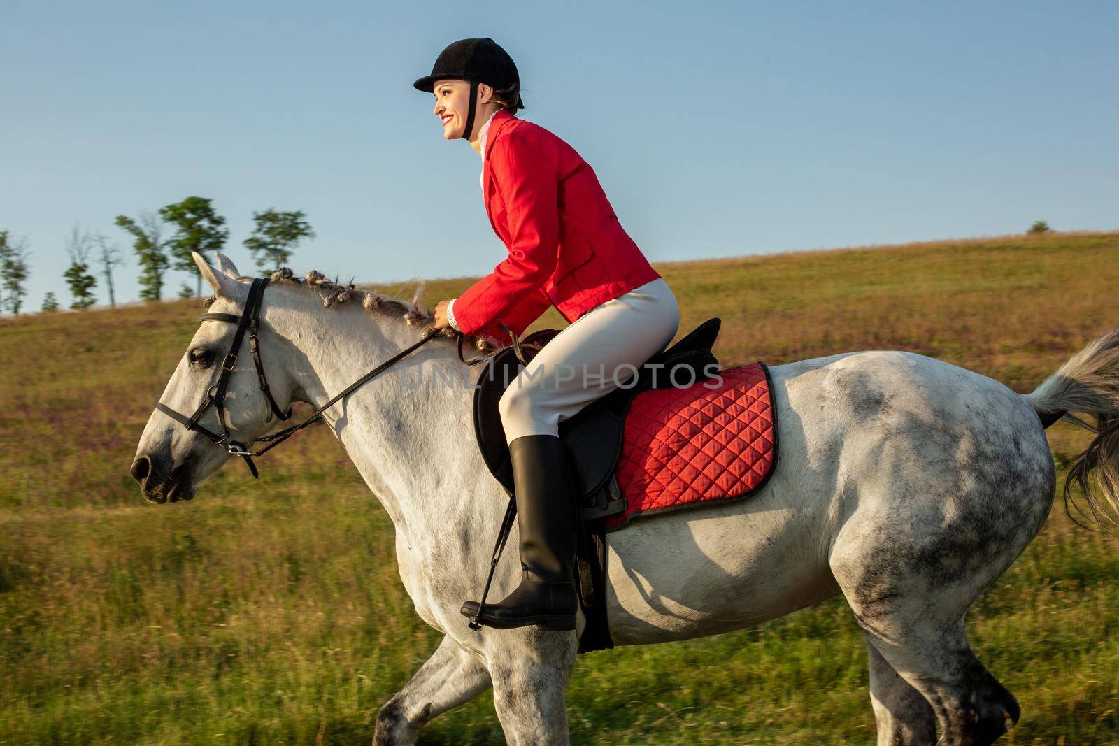 The horsewoman on a red horse. Horse riding. Horse racing. Rider on a horse. by nazarovsergey