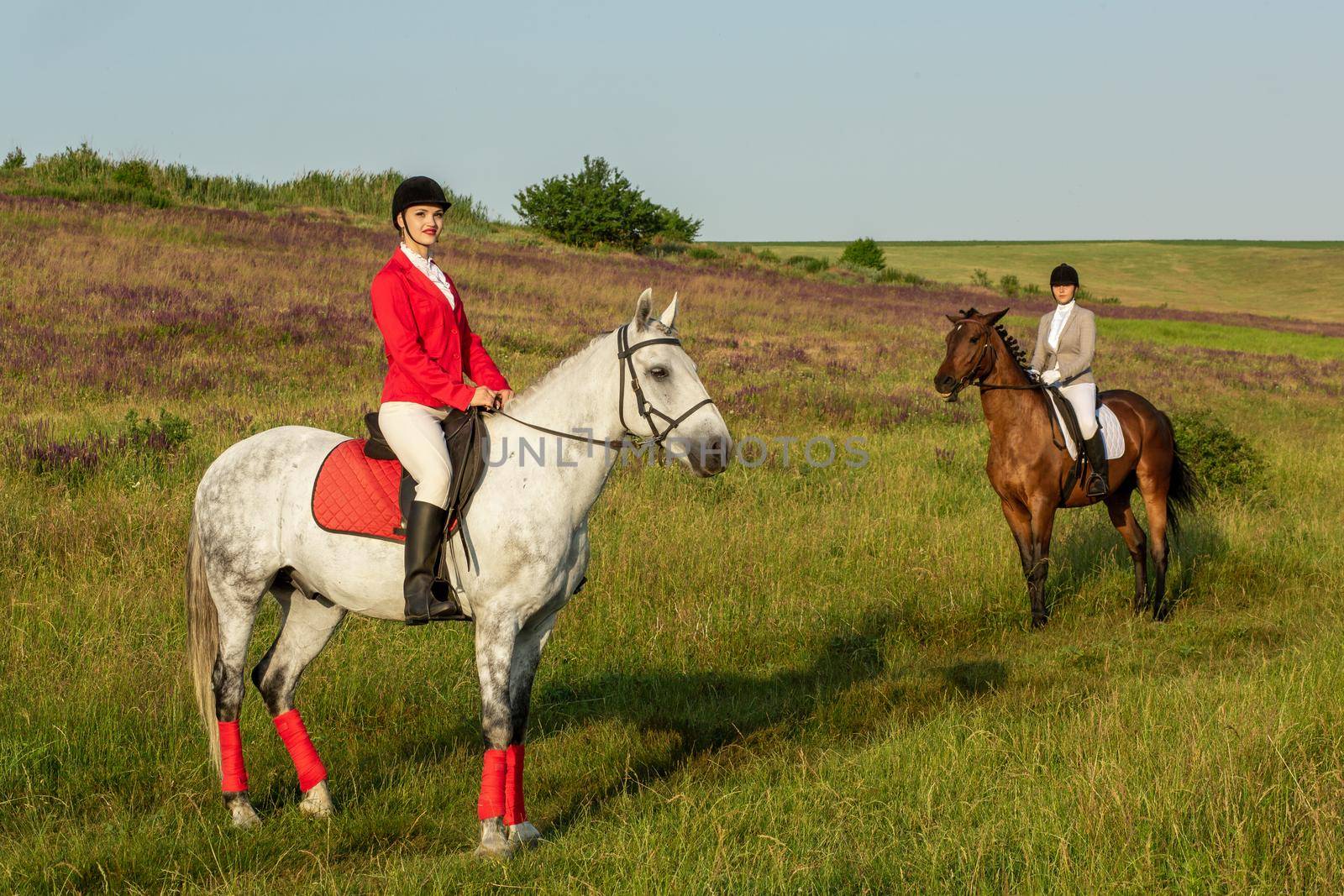 Horseback riders. Two attractive women ride horses on a green meadow. Horse riding. Horse racing. Rider on a horse.