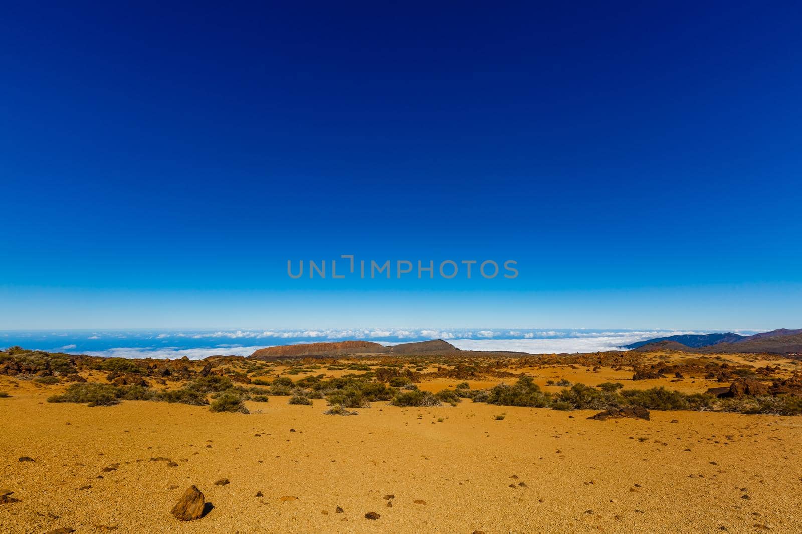 Teide National Park, Tenerife, Canary Islands, Spain