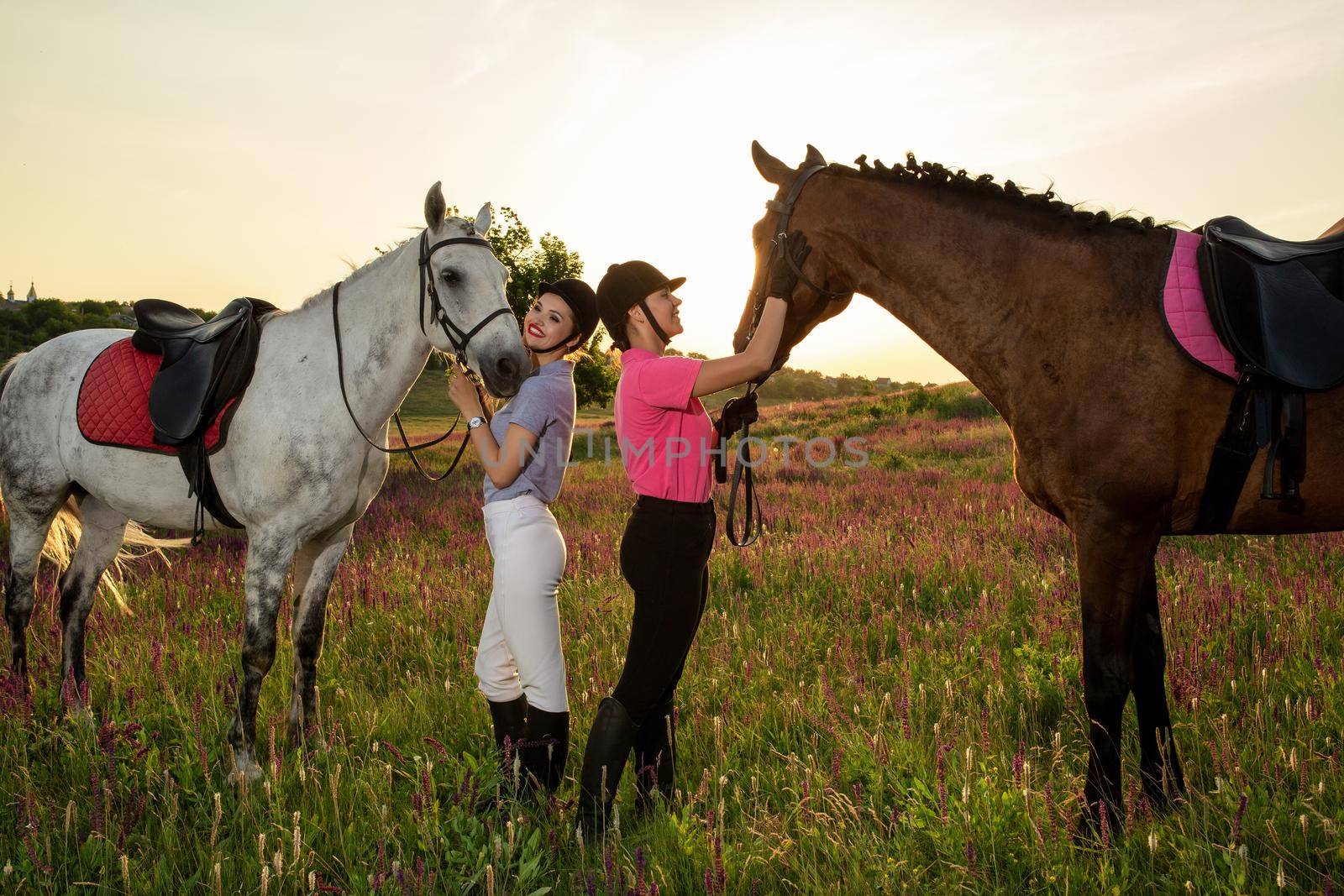 Two woman and two horses outdoor in summer happy sunset together nature. Taking care of animals, love and friendship concept.