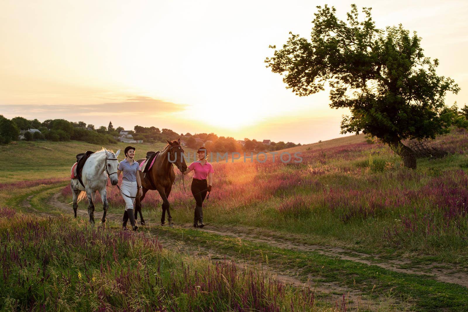 Two woman and two horses outdoor in summer happy sunset together nature. Taking care of animals, love and friendship concept.