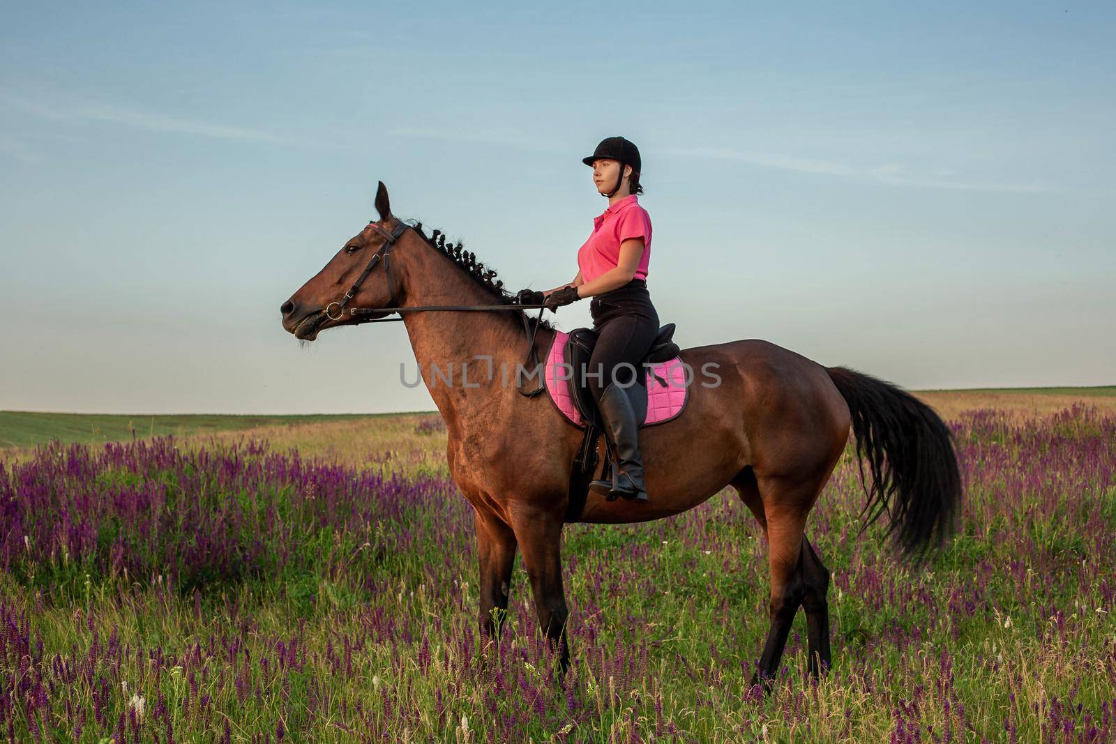 Horsewoman jockey in uniform riding horse outdoors. Sunset. Horseback Riding. Competition. Hobby