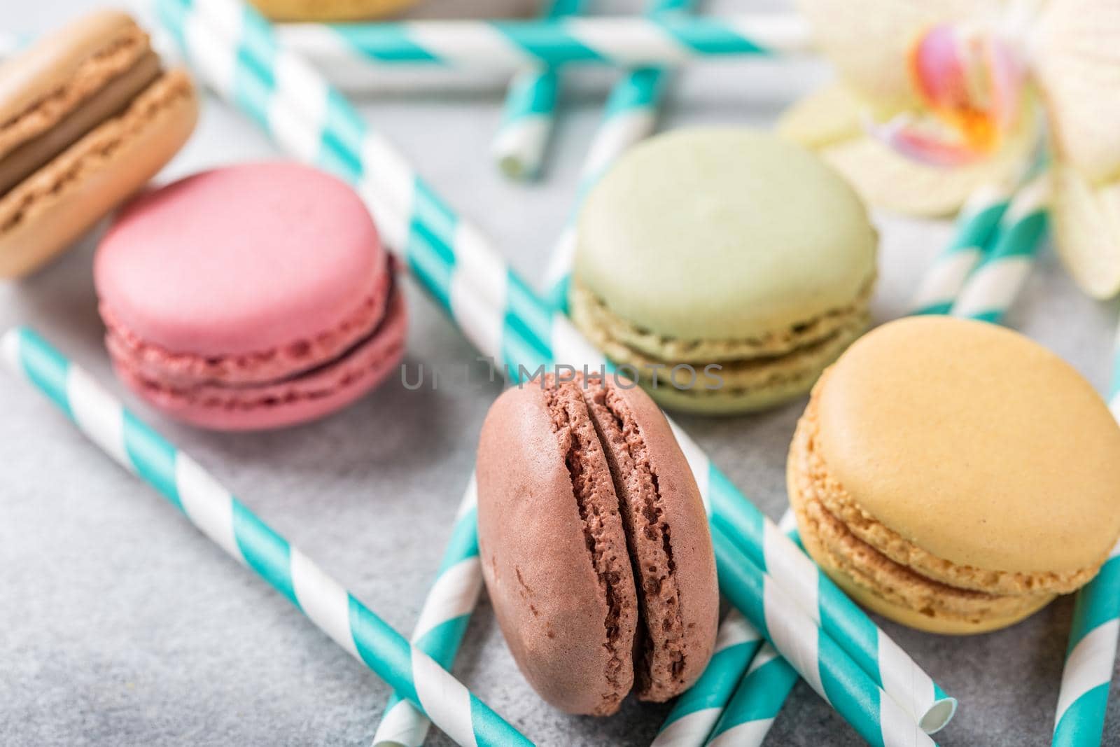 French assorted macarons on light gray concrete background. Holidays food concept.